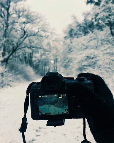 Camera held up on a snowy forest trail, screen showing the path ahead