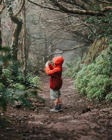 Young child in a red jacket exploring a misty forest trail