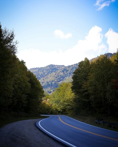 Winding two-lane road curving through autumn forest toward a wooded mountain