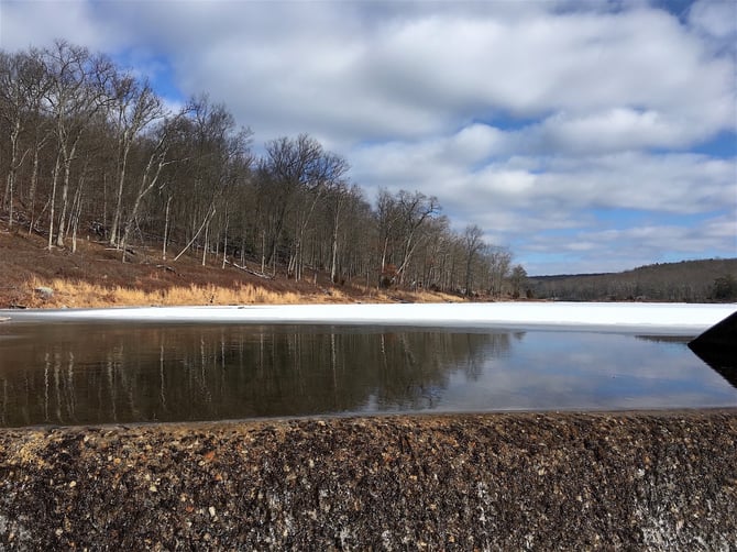 Don’t Miss Early Spring in the Kittatinny Mountains