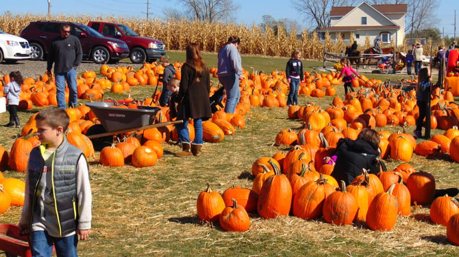 Fall Festivals You Don’t Want To Miss In 2019