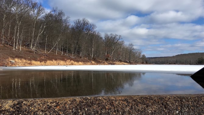 Don’t Miss Early Spring in the Kittatinny Mountains