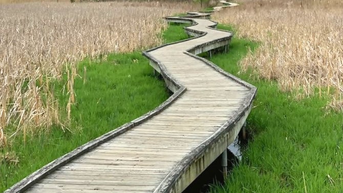 The Best Hiking Spots to Visit in Vernon Township this Summer